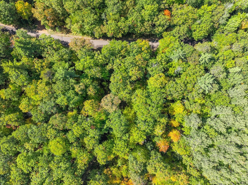 Lot 8 Lake Yawkey Dr, Hazelhurst