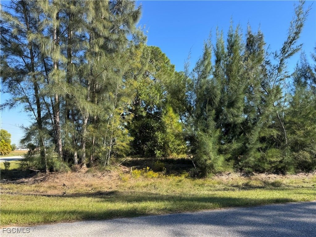 1729 Nw 1st Ave, CAPE CORAL