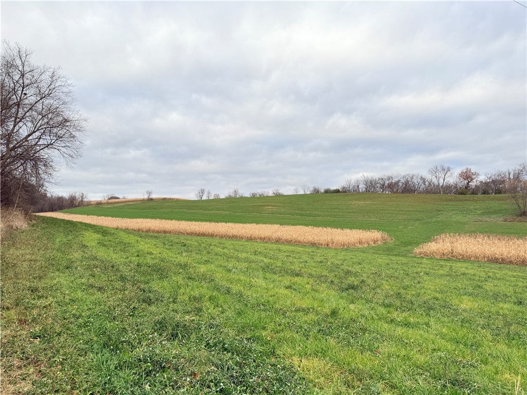 Pierzina Lane, Arcadia