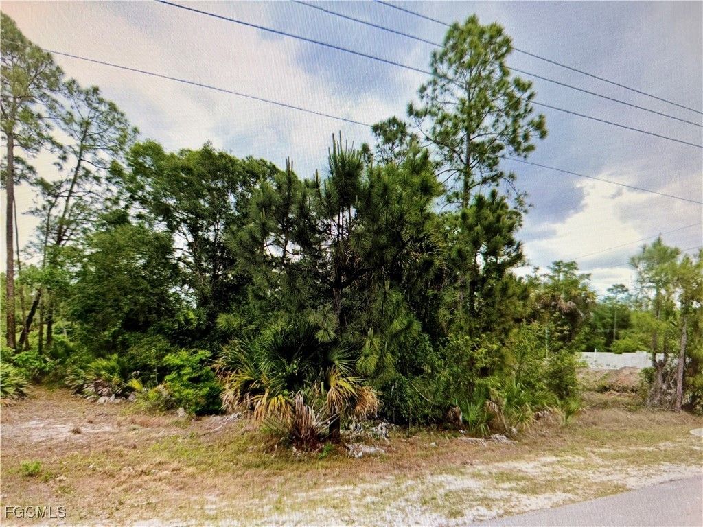 403 E 17th St, LEHIGH ACRES