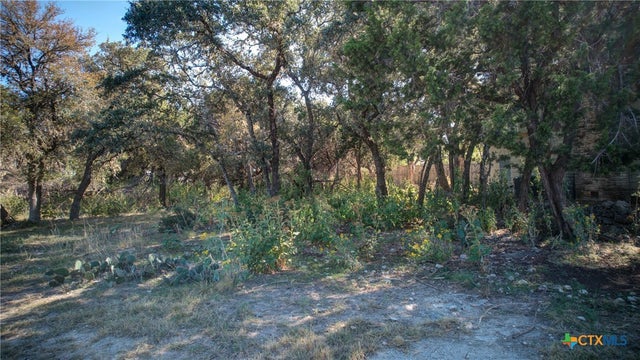 1042 Janet Drive, Canyon Lake