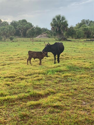 Photo of Listing #A11918739