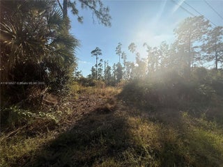 Photo of Listing #A11919507