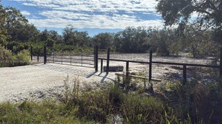 Photo of Listing #A11921746