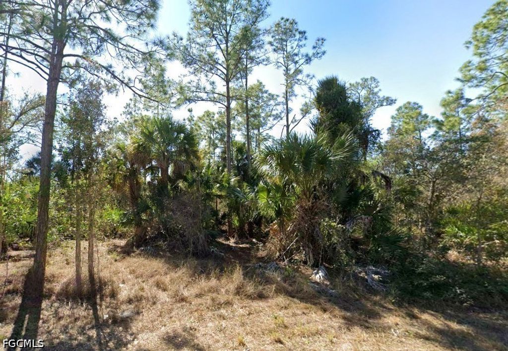 1105 W 14th St, LEHIGH ACRES