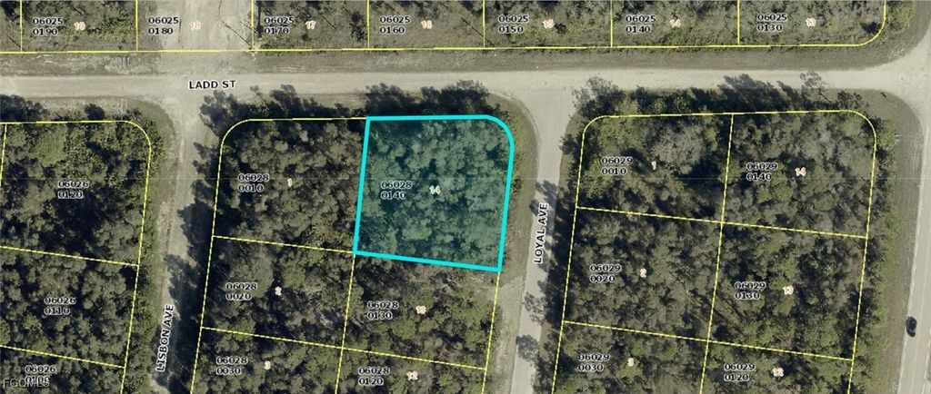 1008 Loyal Ave S, LEHIGH ACRES