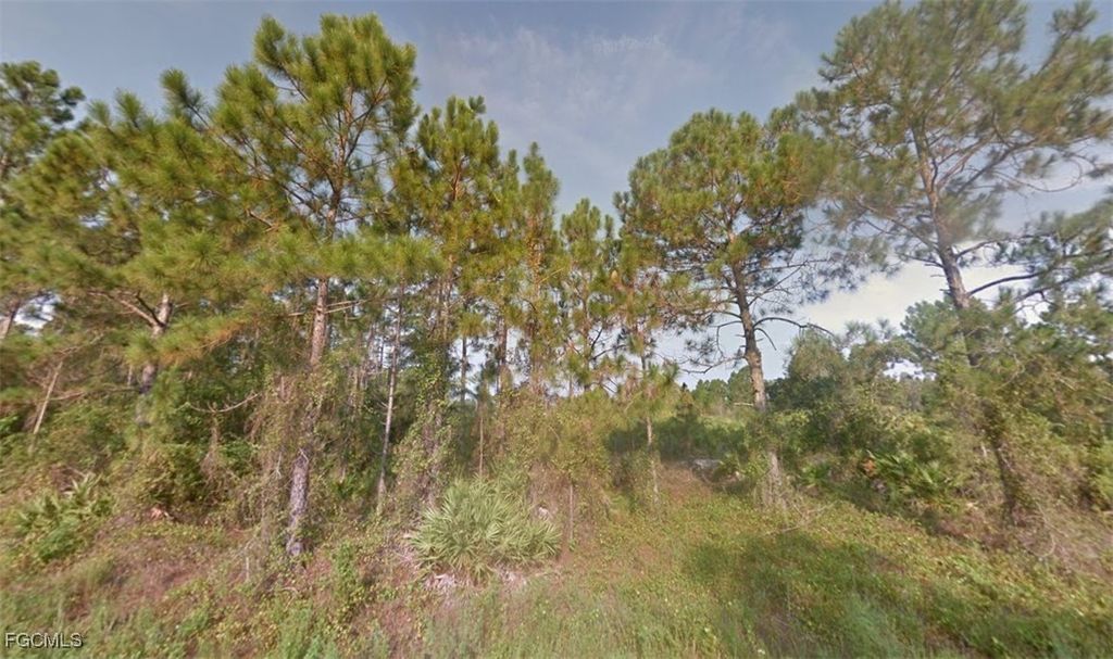 832 Chapman Ave S, LEHIGH ACRES