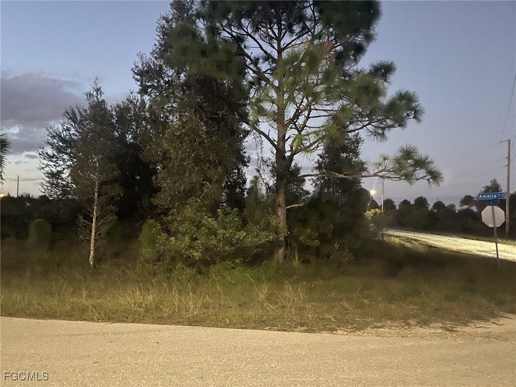 755 Amelia (corner Lot) St E, LEHIGH ACRES