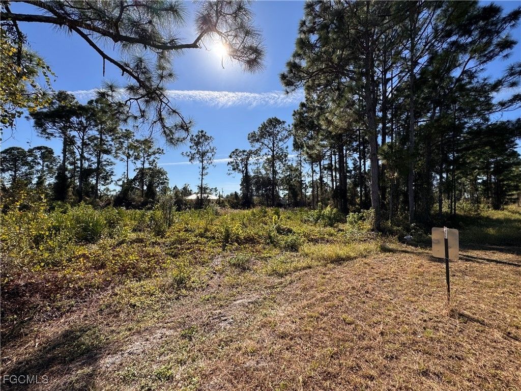 1136 Dutchess St E, LEHIGH ACRES