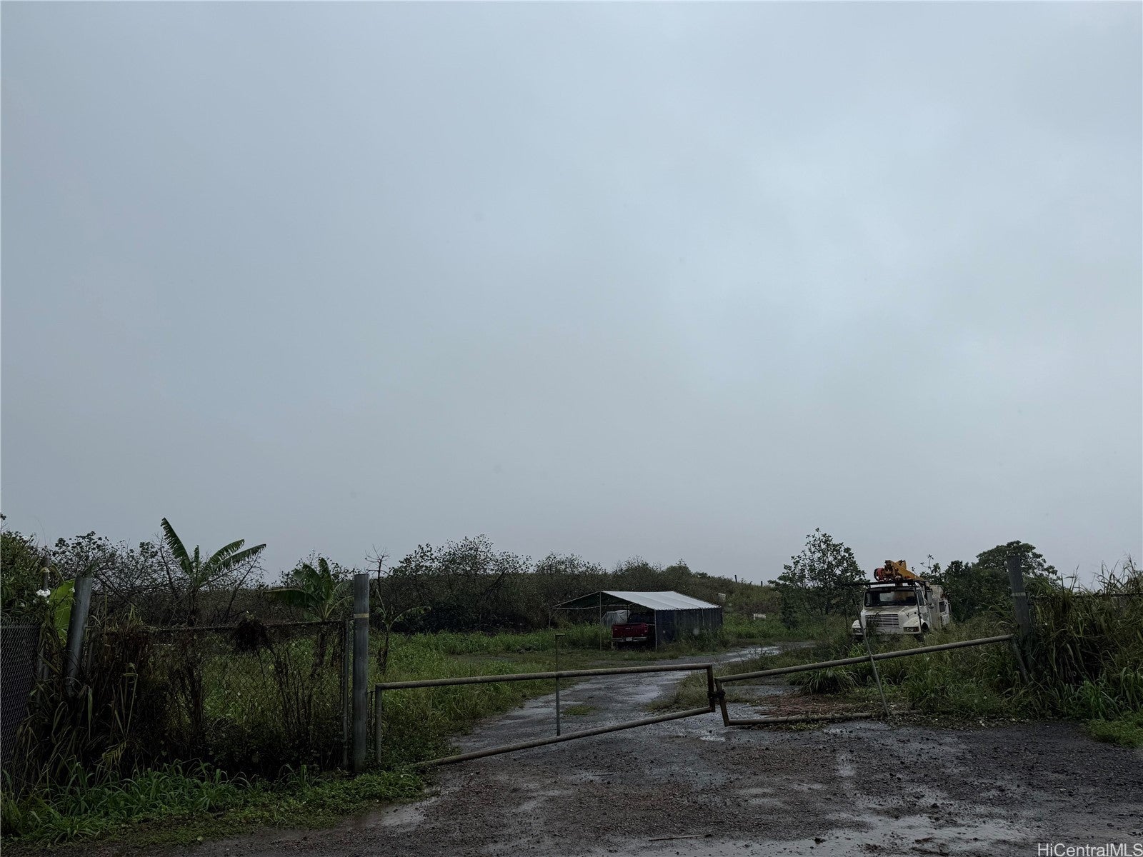 Photo of Listing #202528251