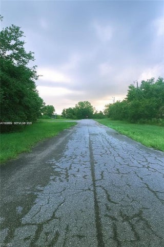 Photo of Listing #A11929064