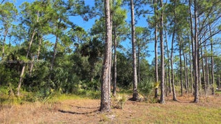 Photo of Listing #A11932395