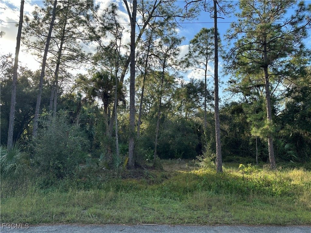 1713 Greenwood Ave, LEHIGH ACRES