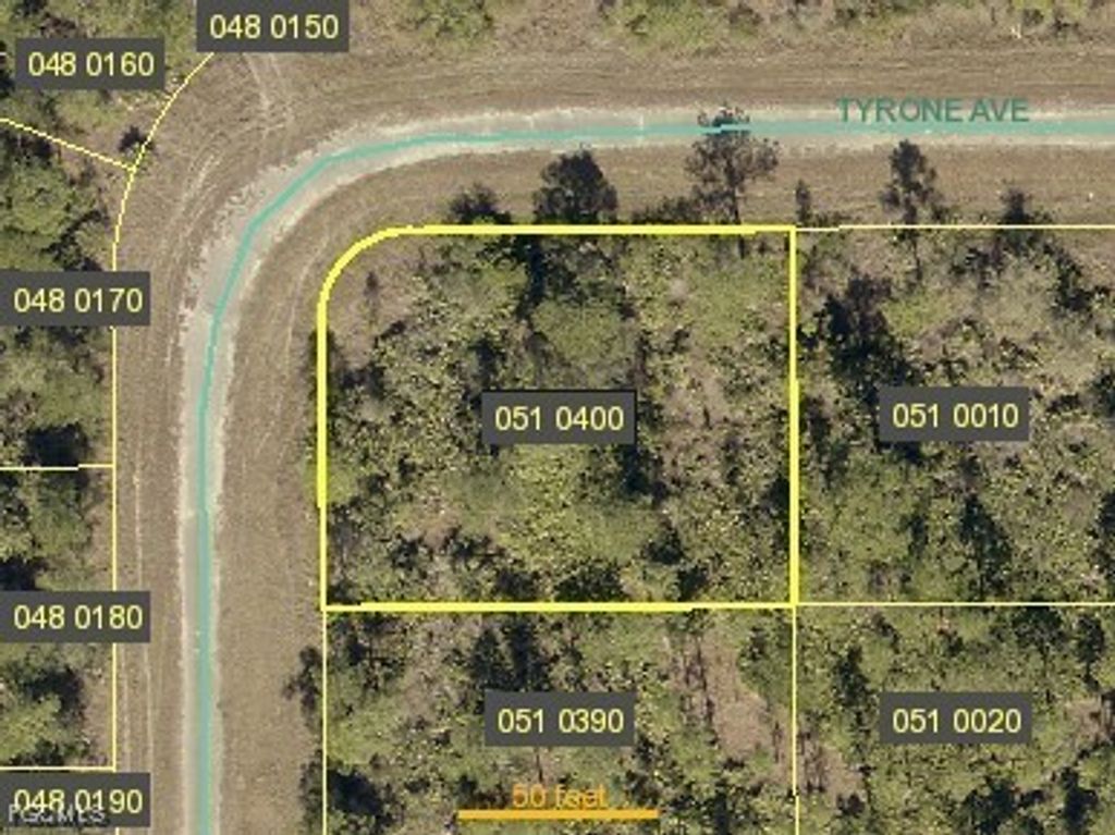 335 Tyrone Ave, LEHIGH ACRES