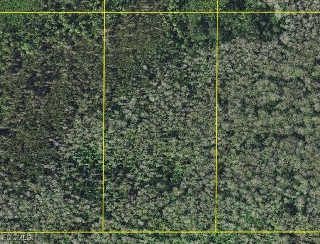 Sabal Palm Rd, Naples