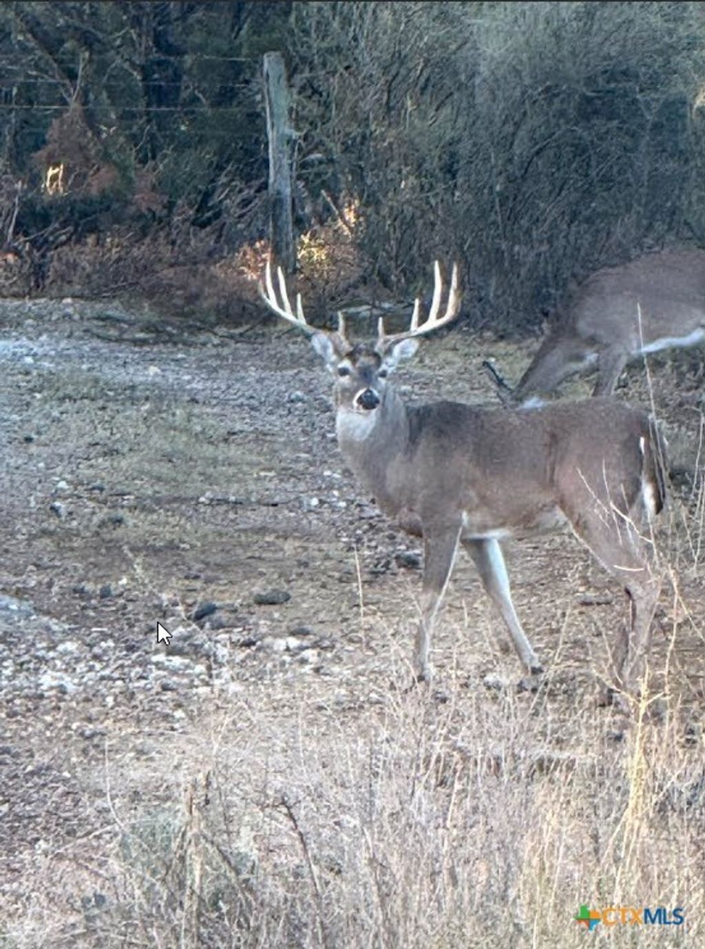 1218 Private Road 1377, Lampasas