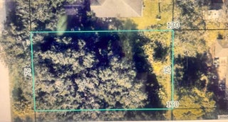 Photo of Listing #A11940071