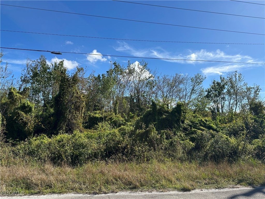 943 Joponica Ave S, LEHIGH ACRES