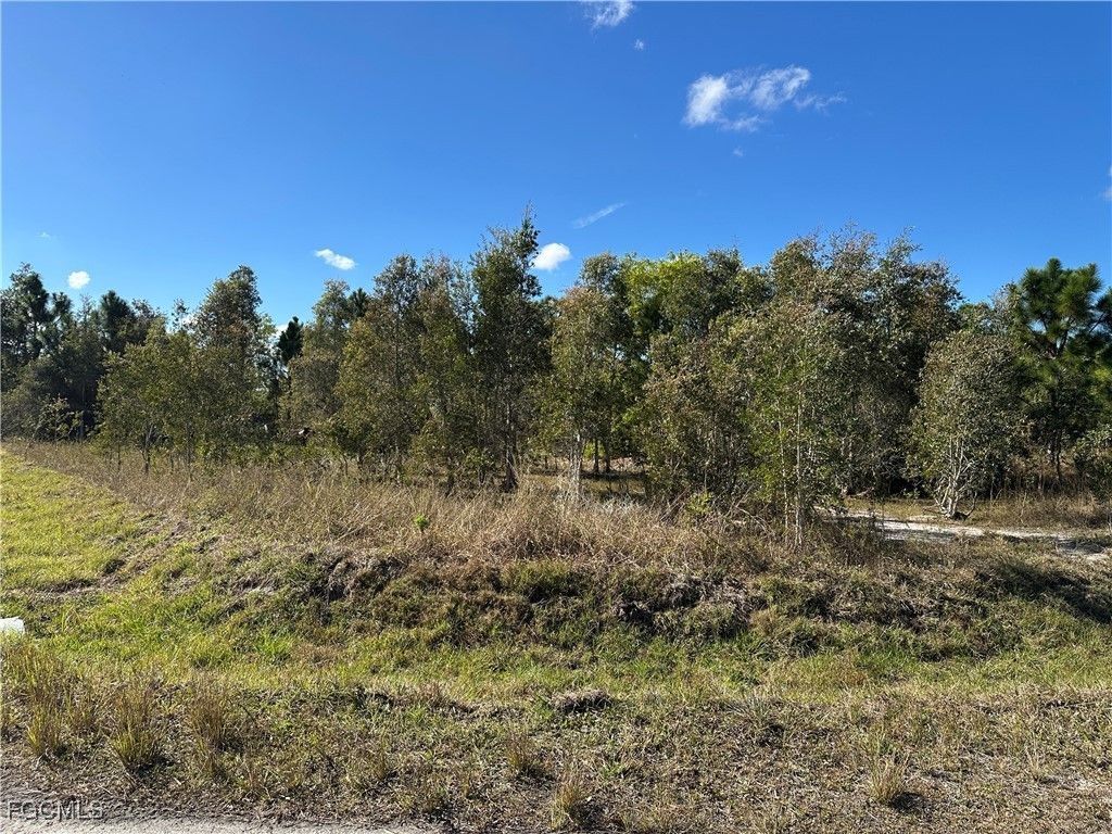 920 Panda Dr, Lehigh Acres