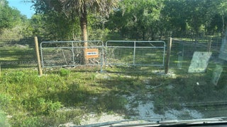 Photo of Listing #A11941826