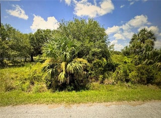 Photo of Listing #A11941718