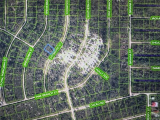 Photo of Listing #A11943665