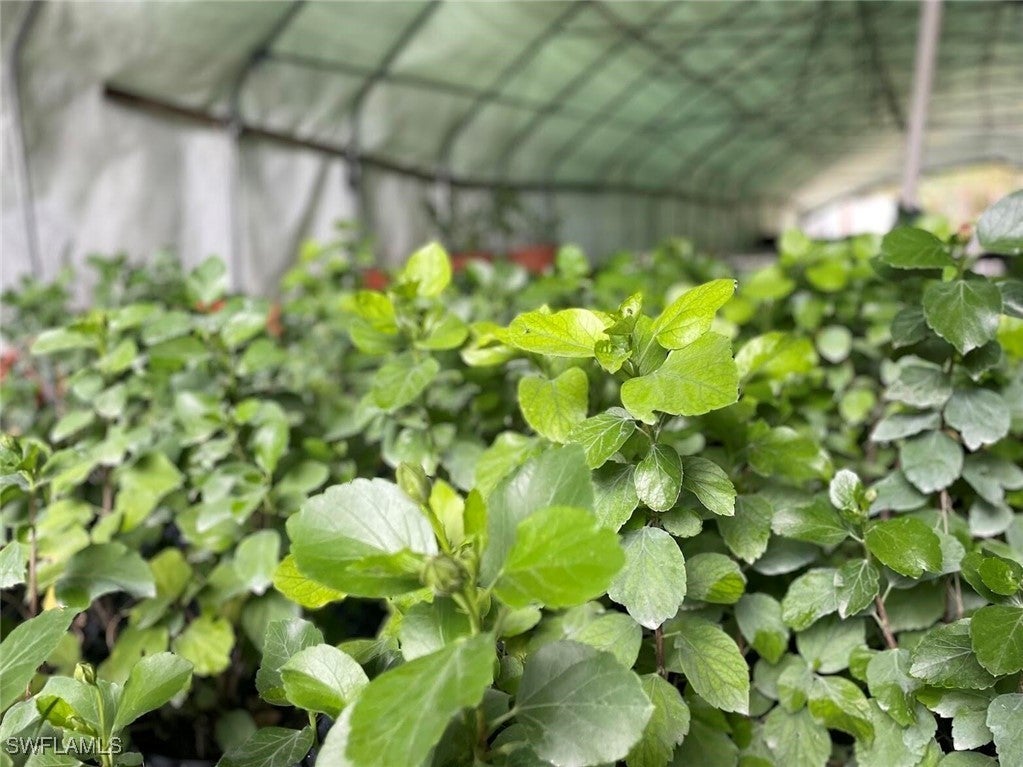 Photo of Listing #226001980