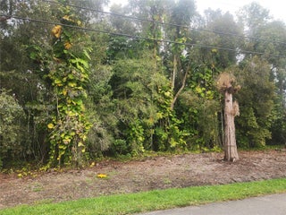 Photo of Listing #A11945164