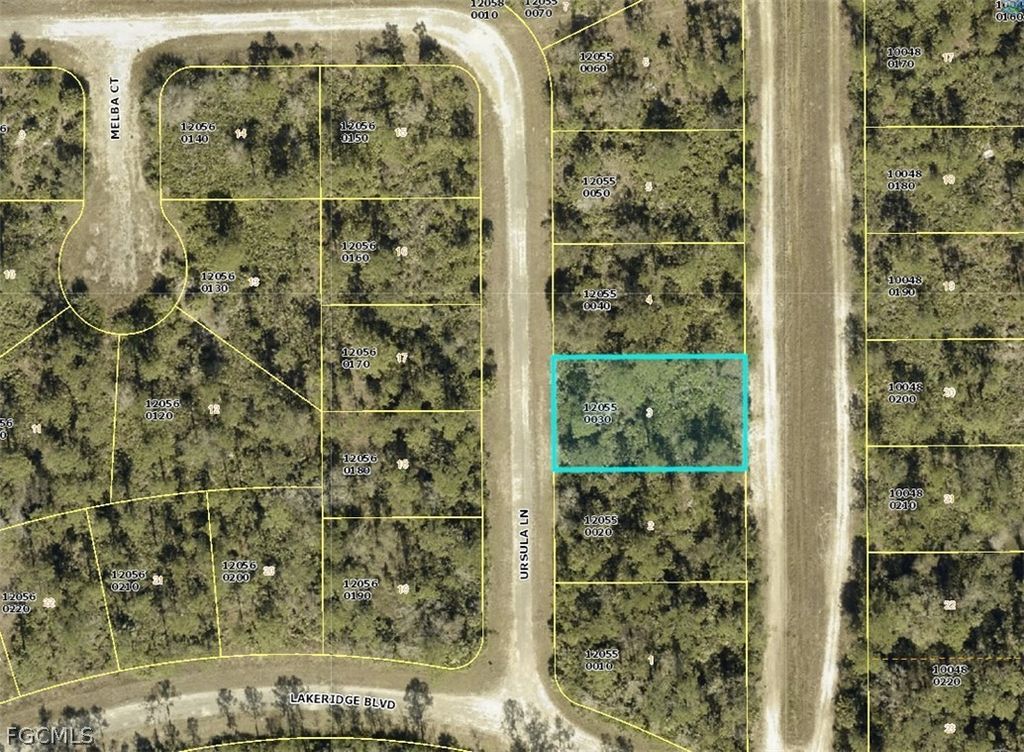 354 Ursula Ln, Lehigh Acres