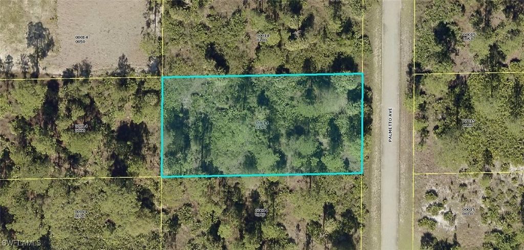 1313 Palmetto Ave, Lehigh Acres