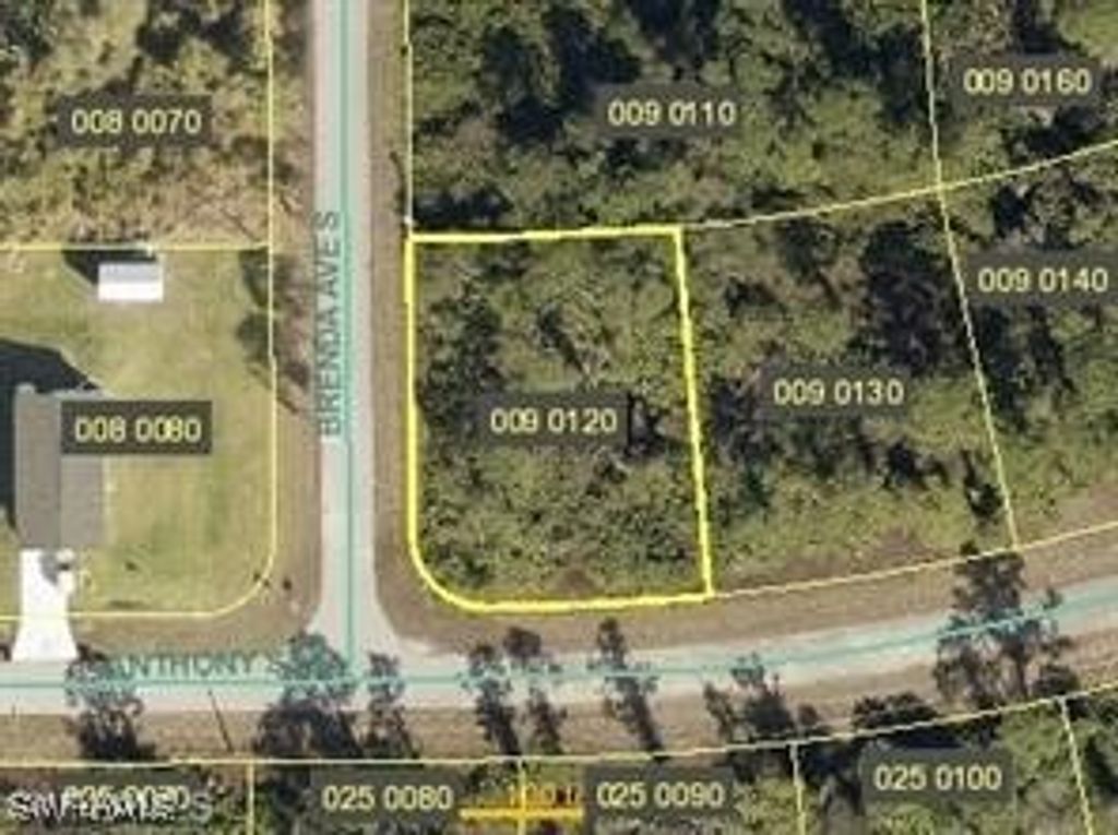 925 Anthony St E, LEHIGH ACRES