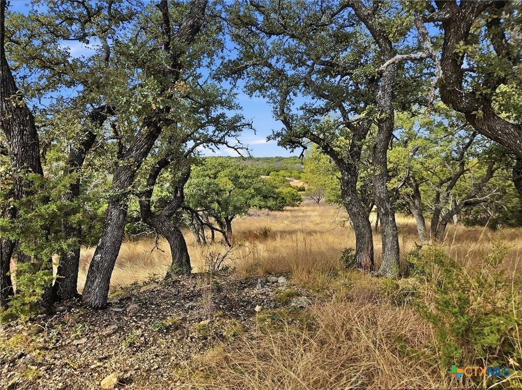 Tbd County Road 162, Evant