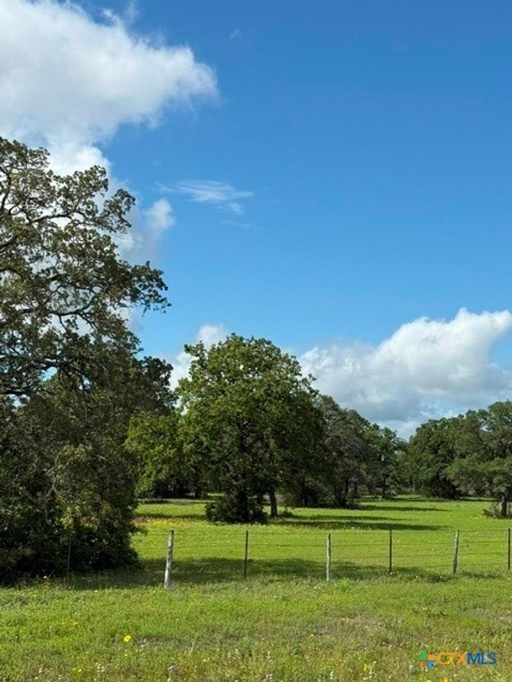 Fm-1447, Yoakum