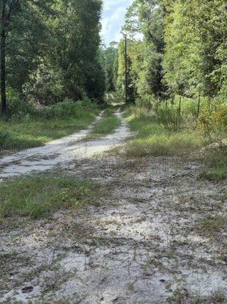 Photo of Listing #A11952276