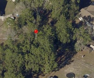 Photo of Listing #A11950954