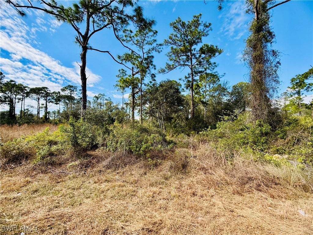 2007 Truman Ave, Alva