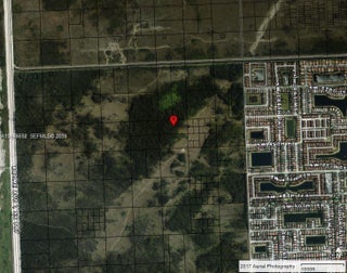 Photo of Listing #A11956532