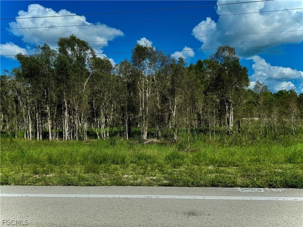 1005/1007 Homestead Rd S, LEHIGH ACRES