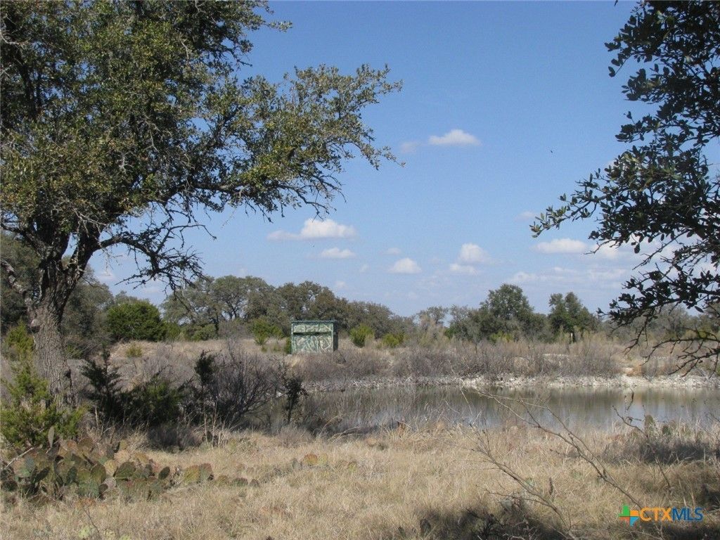 Tbd Fm 2842, Hamilton