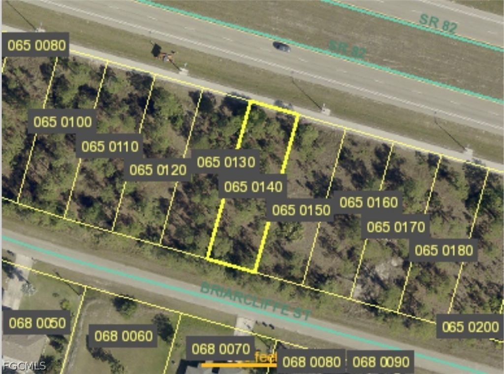 1149 Briarcliffe St, FORT MYERS