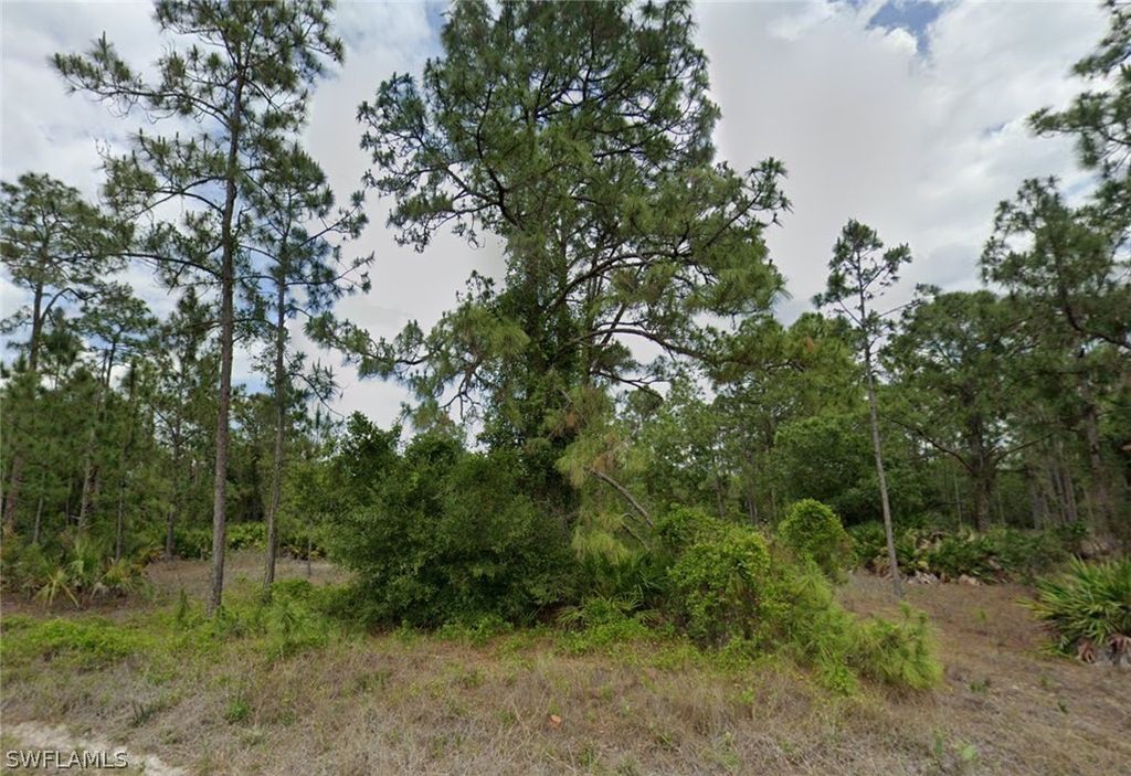 806 Canton Ave, Lehigh Acres