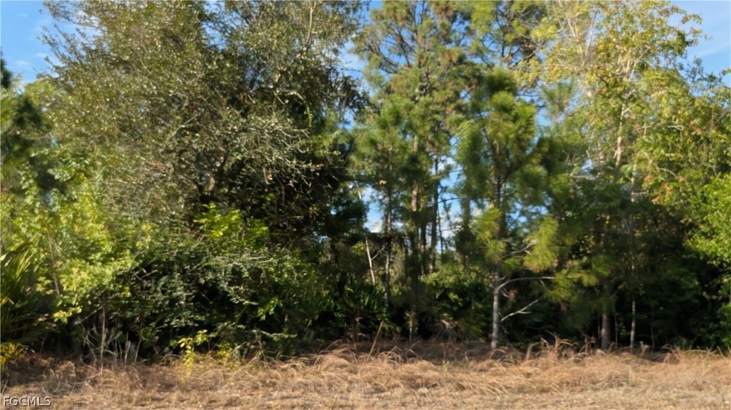 4914 2nd St W, Lehigh Acres
