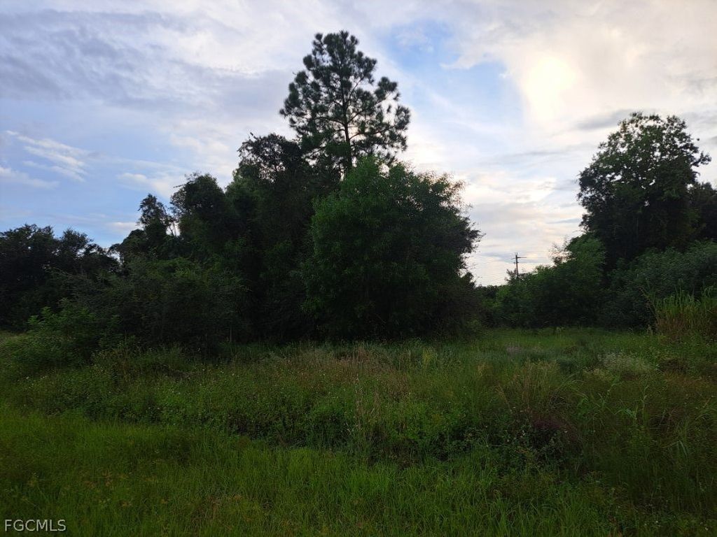 145 Pine Ln, Lehigh Acres