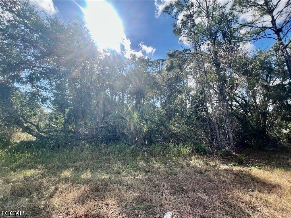 Abbeville Rd, NORTH PORT