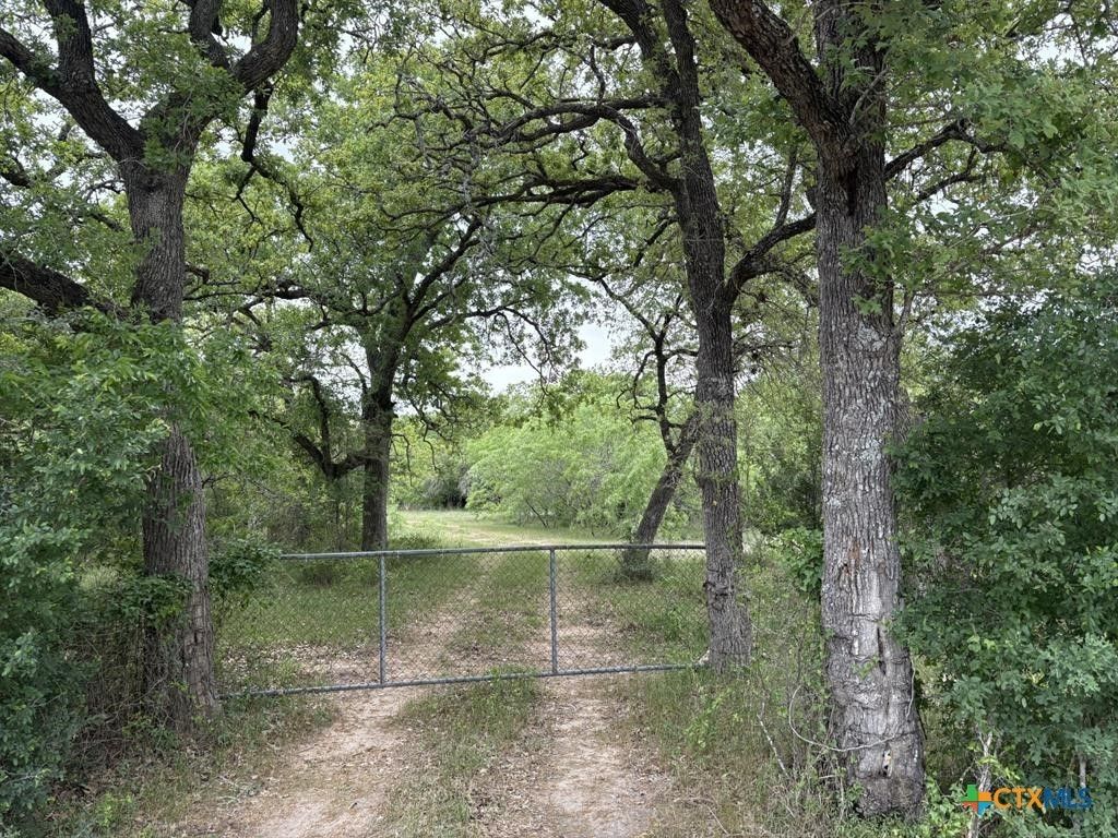 Anchor Ranch Loop, Flatonia