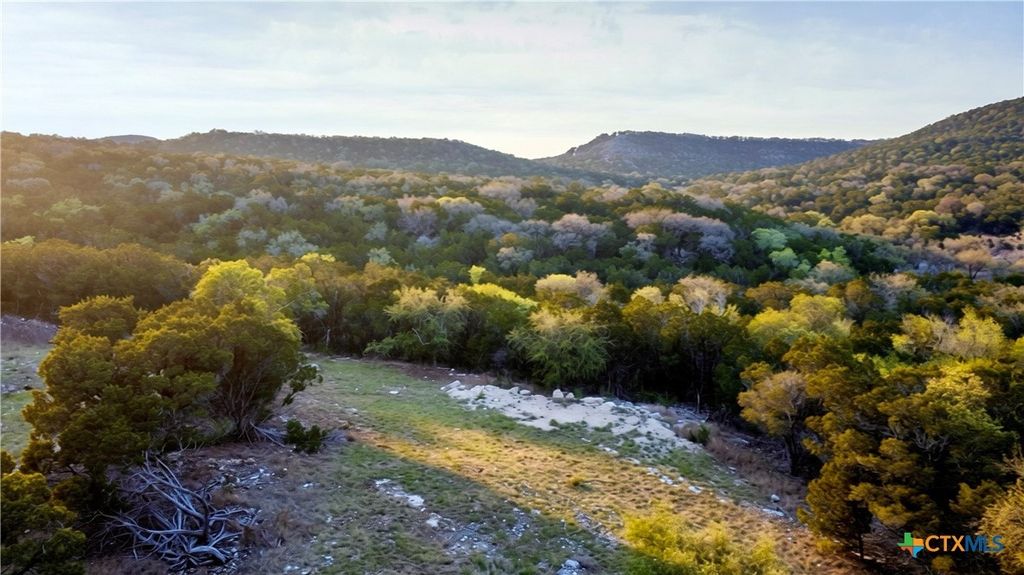 911 Flaman Road, Canyon Lake