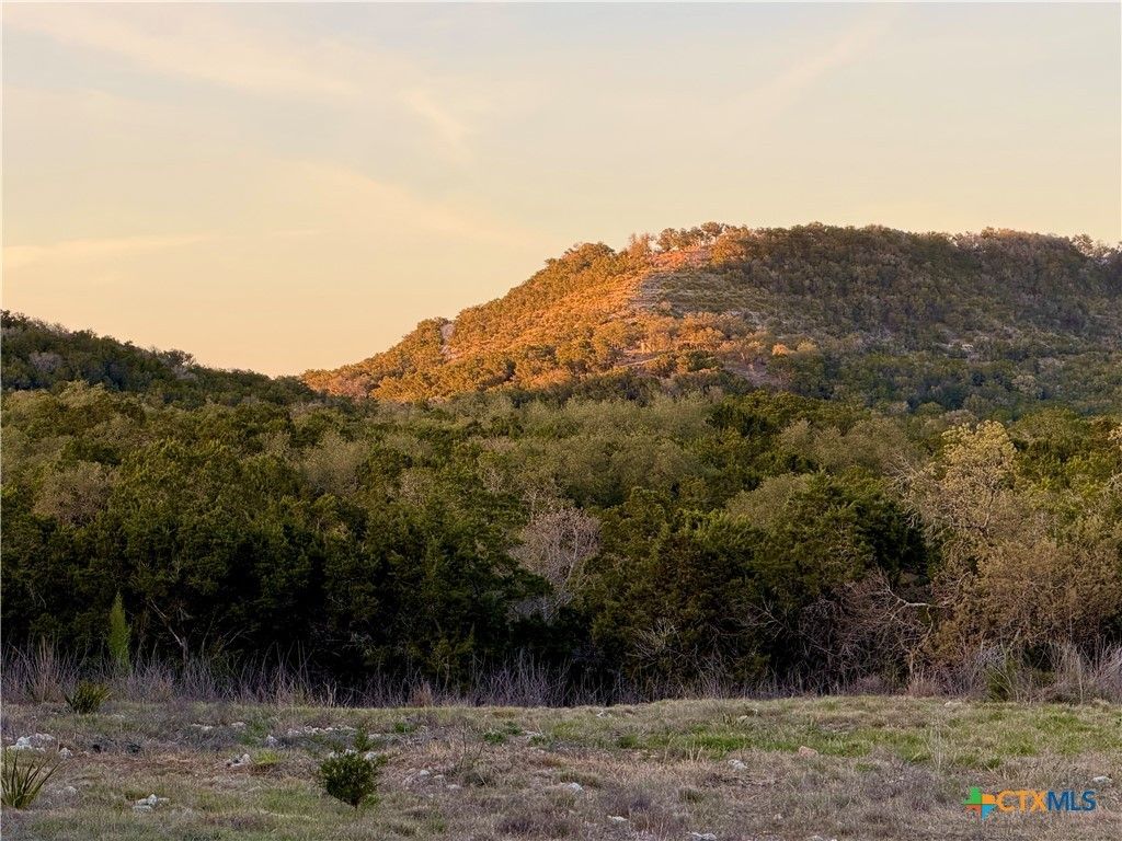 869 Flaman Road, Canyon Lake