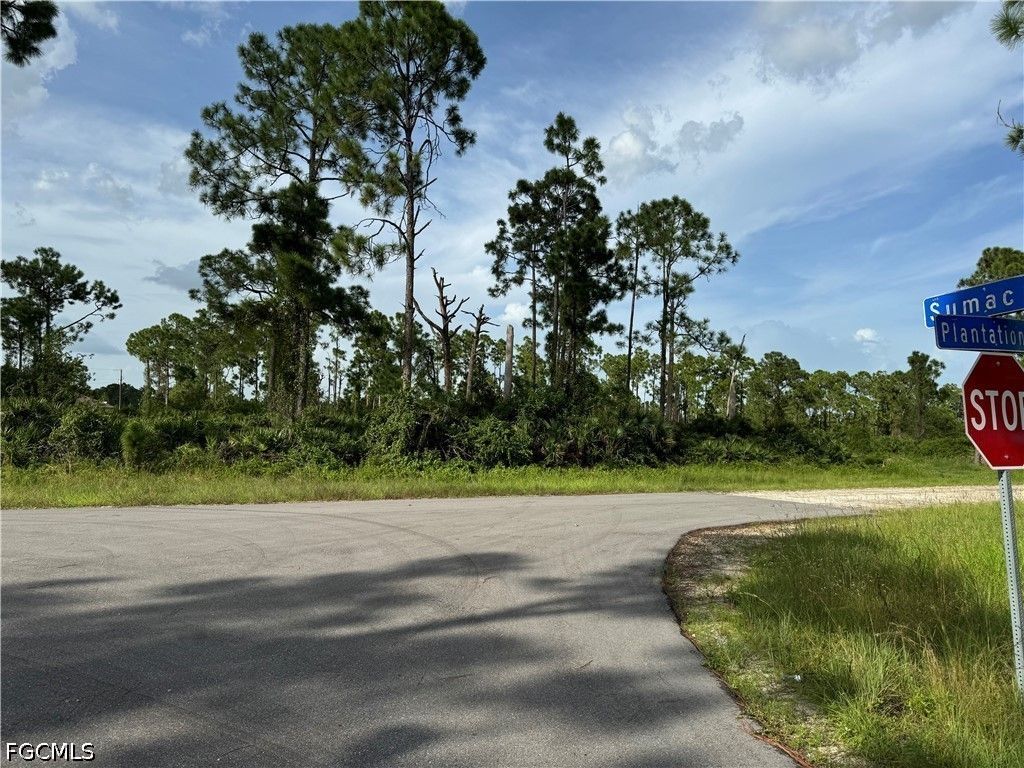 1123 Plantation Rd, LEHIGH ACRES
