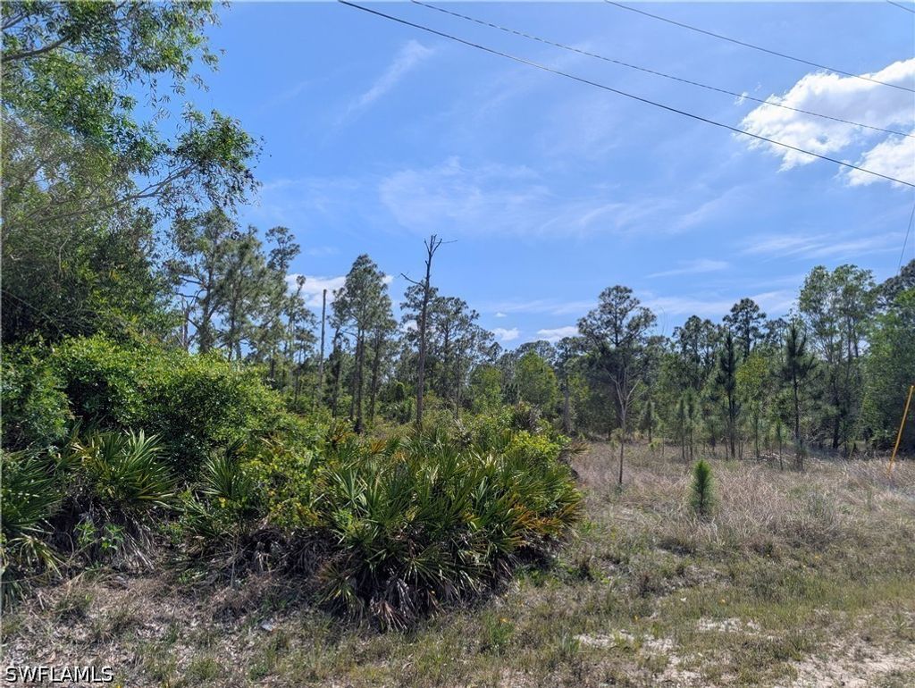 1042 Manning St, Lehigh Acres