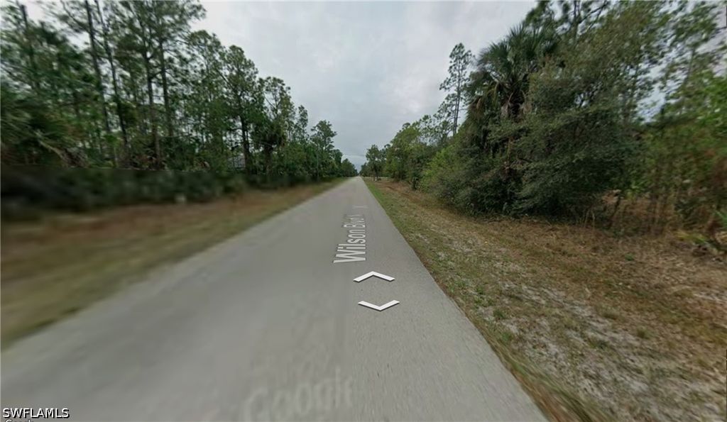 Wilson Blvd N, Naples